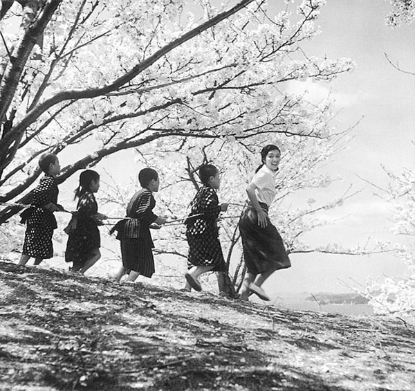 24只眼睛DVD,二十四只眼睛DVD,台灣DVD專賣店-www.rutenmall.com